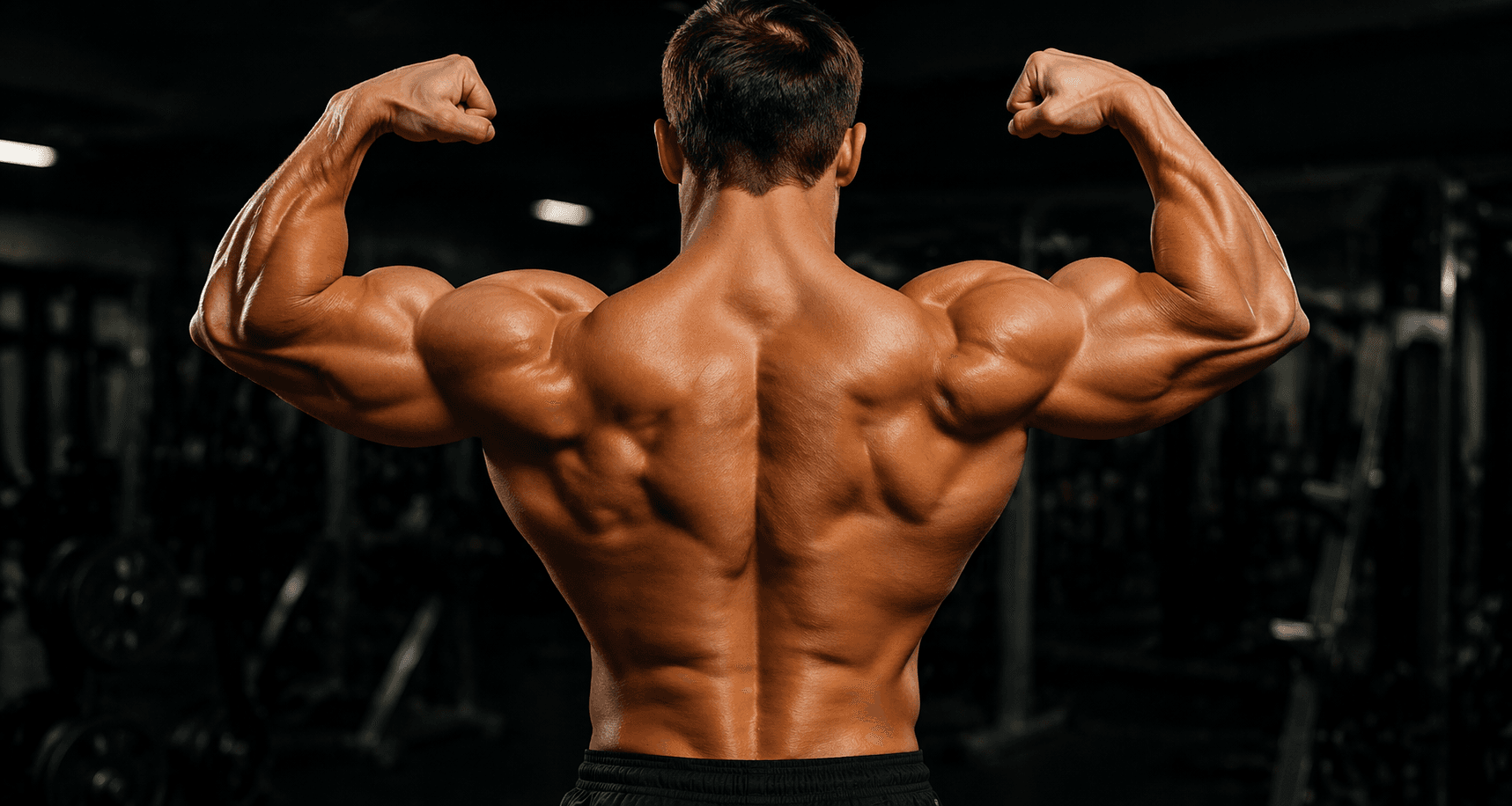 Muscle, Growth, & Recovery